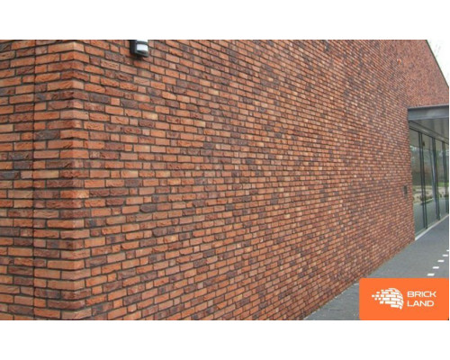 Цегла ручного формування Robinia