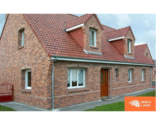 Цегла ручного формування Robinia