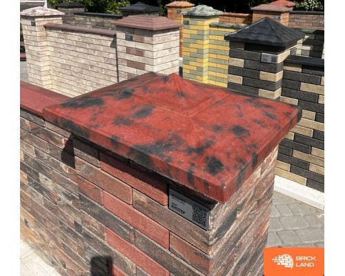 Дашок Китай 470X470