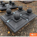 Дашок Олімпія з кулею 450X450